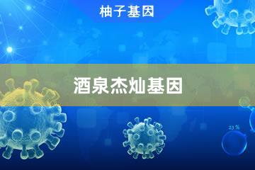 酒泉杰燦基因檢測服務(wù)中心